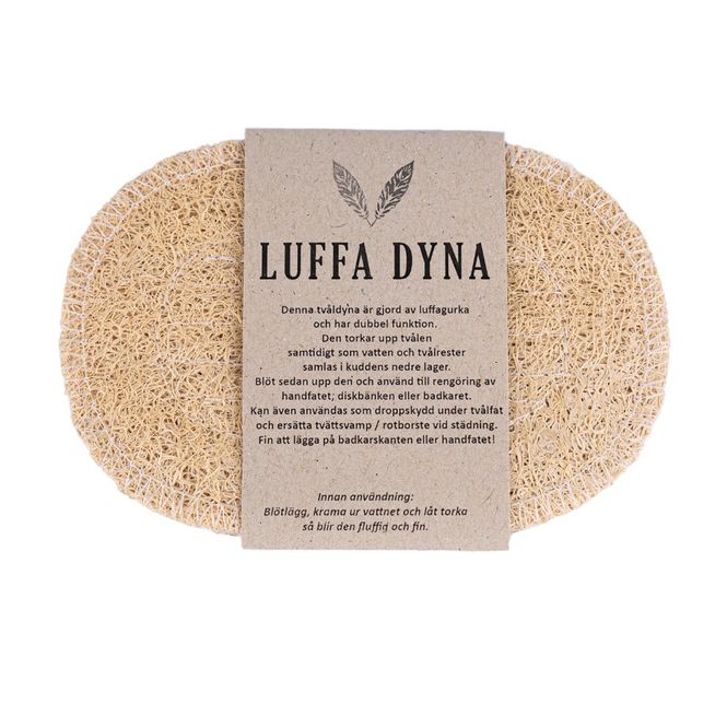 Huvudbild Luffa dyna, oval tvåldyna