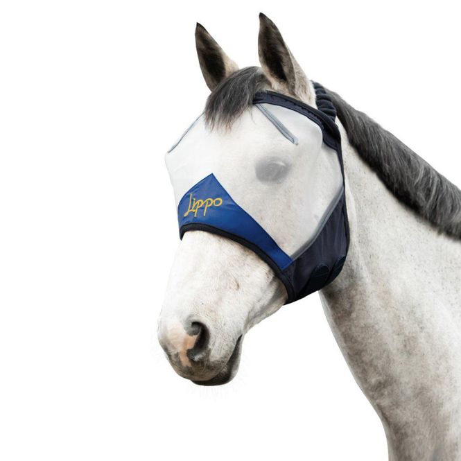 Huvudbild Flughuva Öppen 