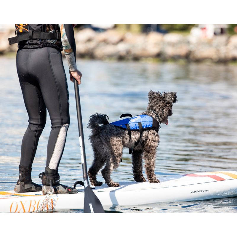 Flytväst till hund Splash