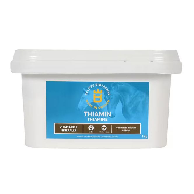 Huvudbild Thiamin 1000g