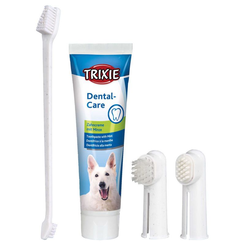 Tandvårdsset hund m tandkräm, 2 fingerborstar, 1 tandborste