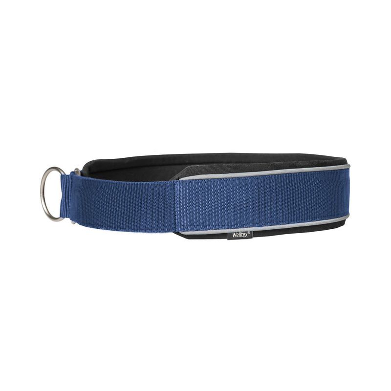 Charlie Hundhalsband, Blå